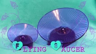 Ware Flying Saucer - REVIEW