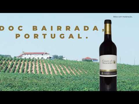 Vinho tinto português: QUINTA DO VALDOEIRO BAIRRADA DOC