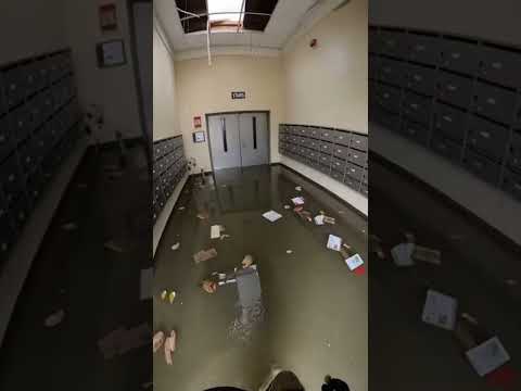 Firefighter Rescues Girls Dog 🥹