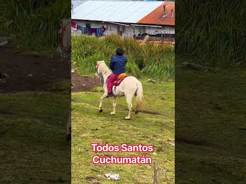 todos Santos Cuchumatán #chapin #tradiciones #musica #cultura