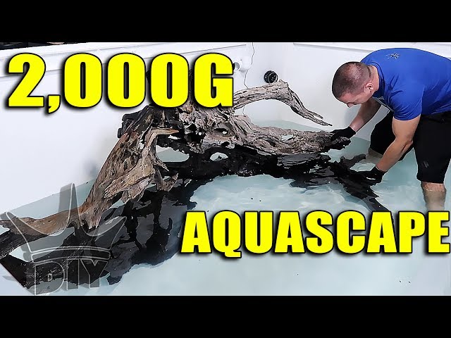 AQUARIUM AQUASCAPE - 2,000 GALLON FISH TANK SCAPE!!