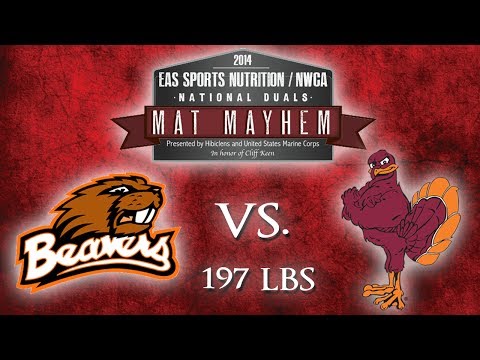 197 Taylor Meeks v Chris Penny - 2014 EAS / NWCA D1 National Duals - [OSU vs VT]