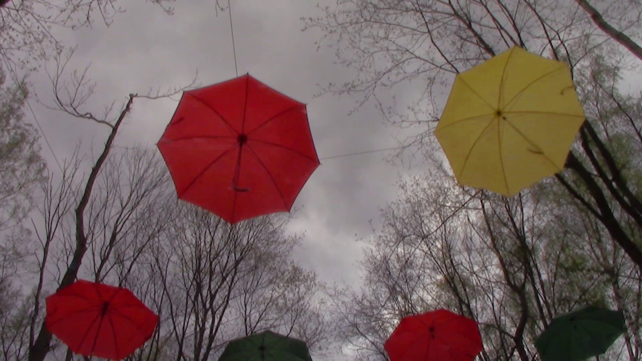 Видеокамера Canon Legria HF R86