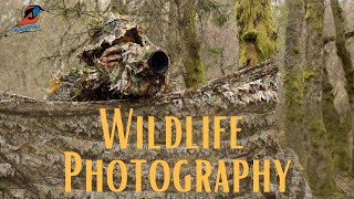 Wildlife Photography - Tragopan 3D Camo Gear