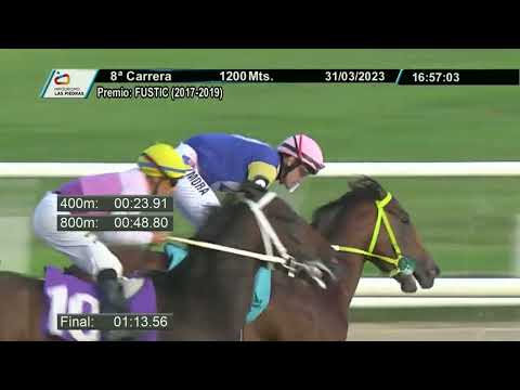 230331 c08 - CALIFORNIA GIANT - HIPODROMO LAS PIEDRAS