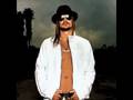 Kid Rock - You never met a mother fucker like me