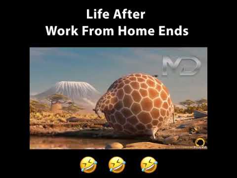 Life is going to very tough after lockdown after watching this video ..... 😂😂😂😂😂😂😂😂😂😂