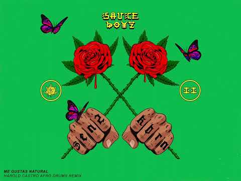 Me Gustas Natural - Harold Castro Afro Drums Remix