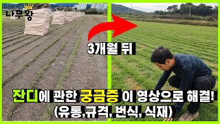 초보자들이 잔디 심기전 꼭! 봐야할 영상!