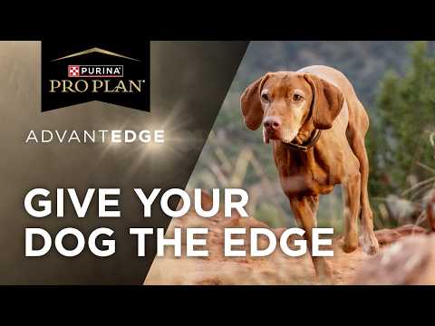 Introducing Pro Plan AdvantEDGE Dog Food