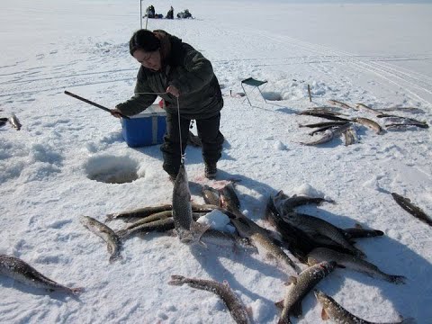 Amazing Giant Fish Fishing Skills in the ice river   Amazing Fastest Fish Catching Net Under Ice #🐠