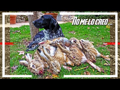 CAZA de LIEBRES y PERDICES 🐇🐦 ¡Jornada totalmente inesperada😵! 2024