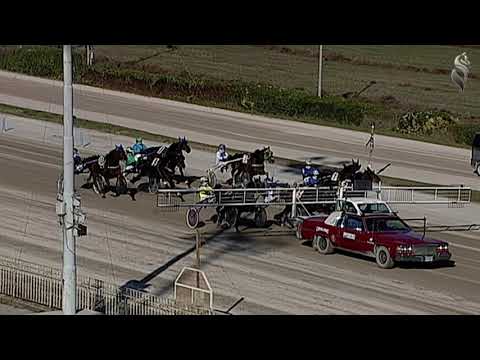 Aversa trotto 20 Ottobre 2021 - 3° Corsa