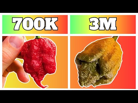 Top 10 Spiciest Peppers on the Scoville Scale 2025