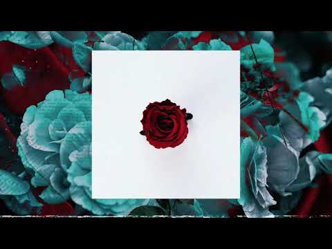 HVGQ x Seekret - Perfumy (prod. Raspo)