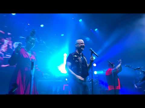 טיפקס - פרח השכונות לייב