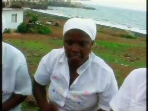 Raiz de Tambarina _Distinu-official(360p)