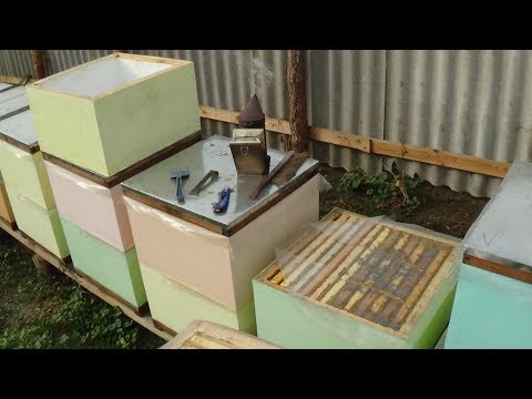 Ротация гнездовых рамок в зиму на пасике