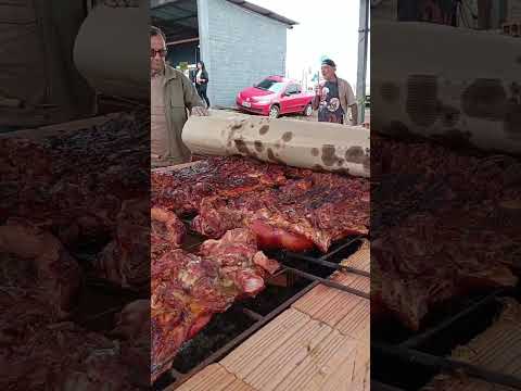 Qurrto Vidios Do Porco Garantido Em Barbosa Ferraz PR