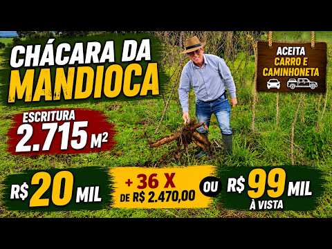 Vídeo