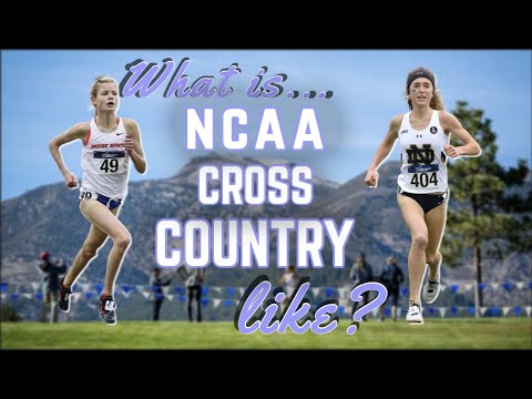 My Best Cross Country Season || Voiceover and Analysis