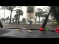 Seagull Tried To Get Fry Off The Dashboard