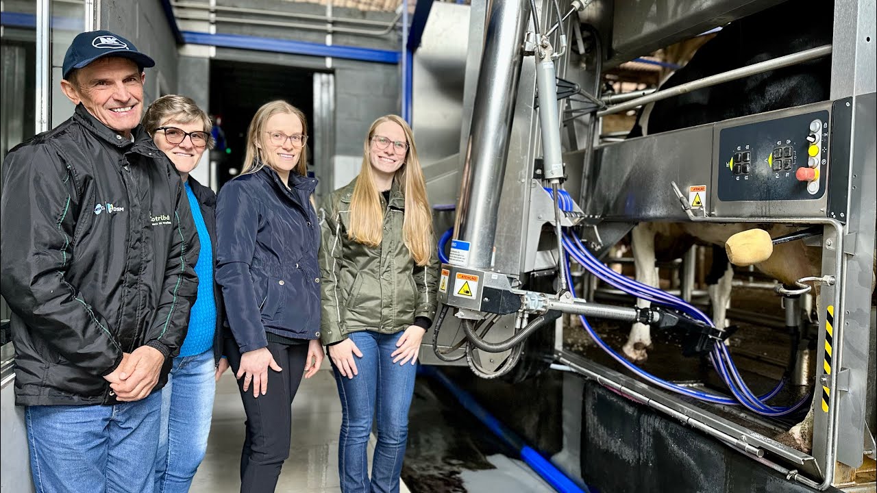 Robô tira leite de 50 vacas e trabalha 24h por dia no interior de Ibirubá