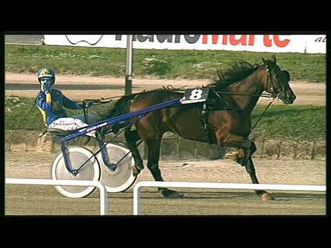 Trotto 23/10/2020 - 4ª corsa