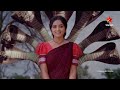 Naga Panchami Song Promo Starting From Mar 27th At 8 PM Only On Star Maa