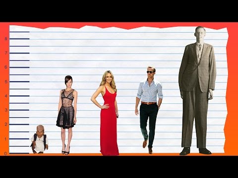 Jena Malone Height