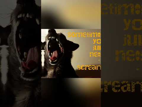 It seemed like a good day to bring back some thoughts from the late, great Remy the Wise. #Chug #Dog