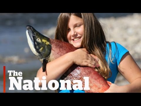 Teen soccer player faces a moral dilemma