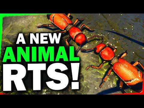 Animal Rts Steam Community :: Video :: 🐜Empires of the Undergrowth the first ...