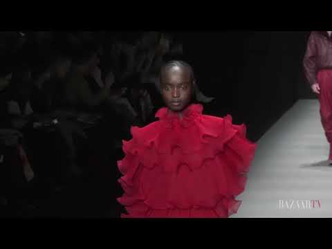 Alberta Ferretti Fall Winter 2020-2021