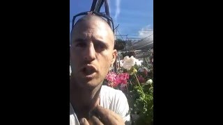 גרניום - להרגיש כמו אירופה