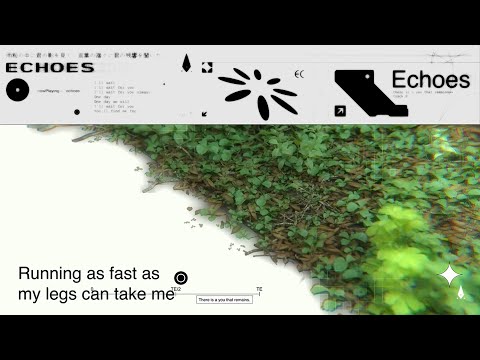 Video thumbnail for echoes