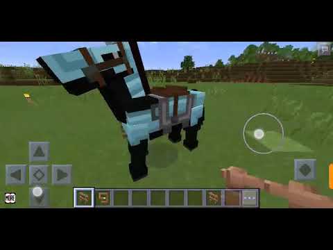 How to leash a animal