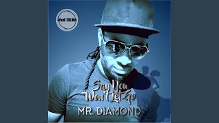 Say You Won't Let Go (feat. Mr Diamond)