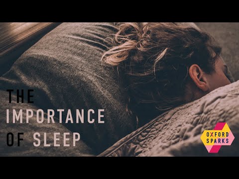 The importance of sleep - Oxford Sparks