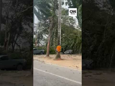 Ventos fortes causam cinco mortes em São Paulo e Rio de Janeiro