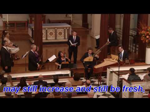 The Sparrow and the Gentle Dove