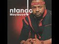 Ntando Dali AfrosoulcollectorsCorner