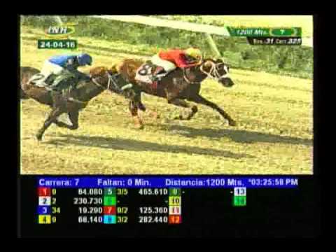 Resumen Domingo, 24 de Abril de 2016 - La Rinconada