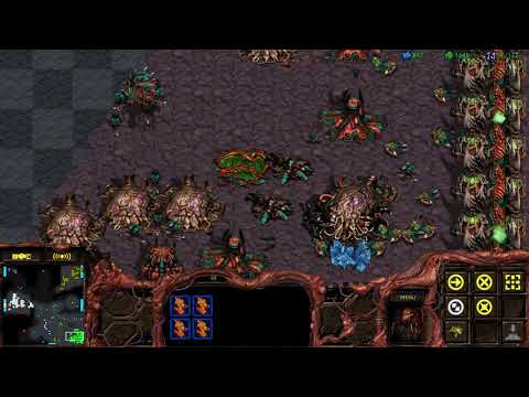 3vs3 Fastest Map. Starcraft Remastered. Zerg