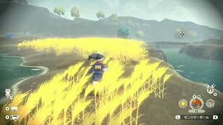 ポケモンレジェンズ　アルセウス　part13