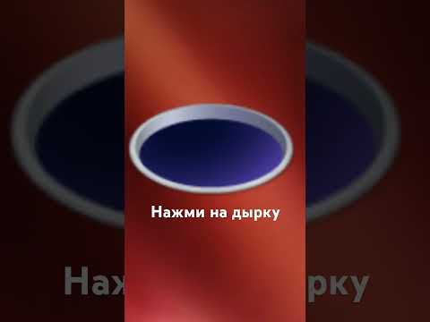 8 сентября 2024 г.