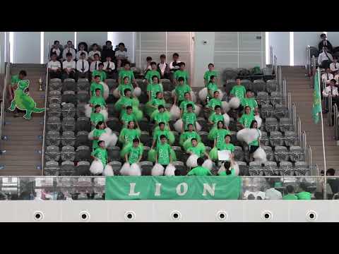 2018—19 SGSS Swimming Gala Cheering Competition - Lion House