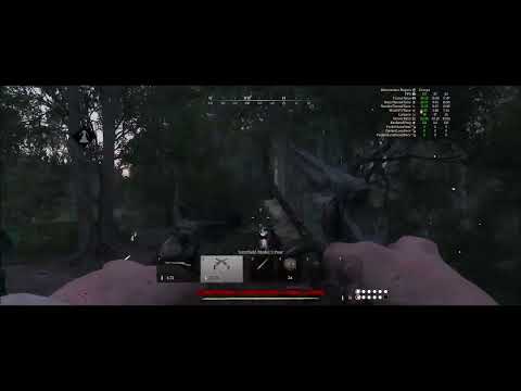 Namen_loser_progamer   Der Günstling