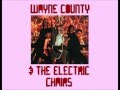 Wayne County & the Electric Chairs - Mr Normal ...