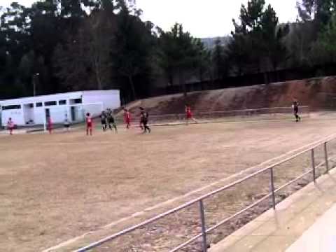 tirsense iniciados 2010-2011 (aves casa)